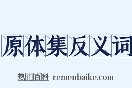 原体集反义词是什么意思的图片
